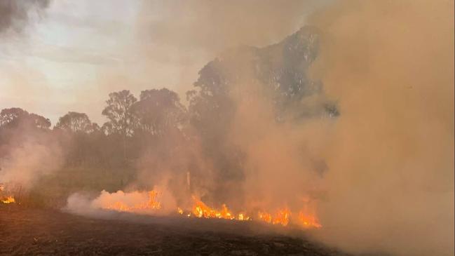 Car fire spread into surrounding paddocks in Rossmore on Bringelly Rd. Picture: RFS