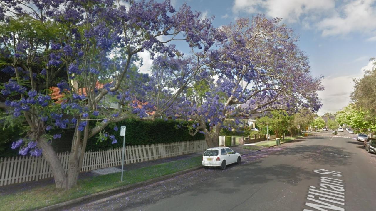 Roseville William Street tree damaged, Willoughby Council probe