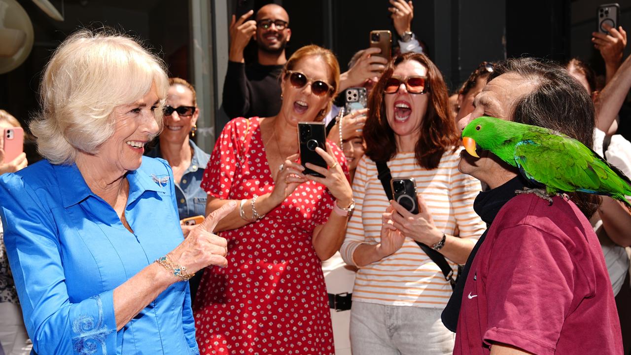 Queen Camilla meets Caesar the parrot during a visit to Refettorio OzHarvest Sydney. Picture: Getty