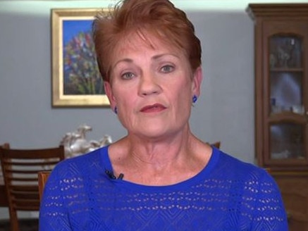 Pauline Hanson said shipping baby formula overseas should be illegal. Picture: Sky News