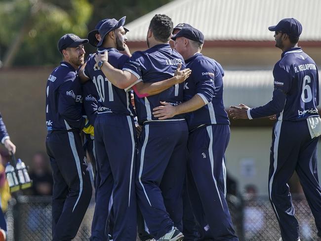 The Bears celebrate a wicket. Picture: Valeriu Campan