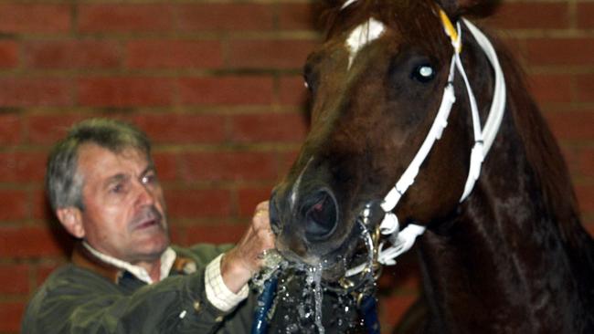 Les Samba washes a horse after working him in the early hours at Flemington in 2003. Picture: Craig Hughes