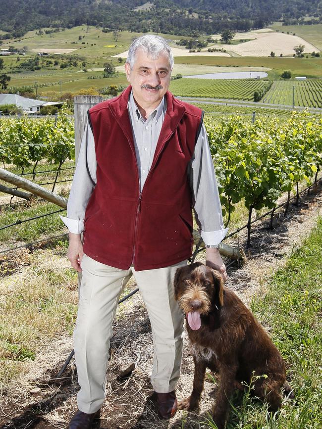 Greg Melick, at his vineyard established at Richmond in 2002, Pressing Matters Vineyard, with his dog Otto.