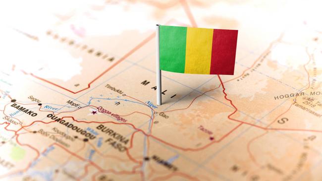 First Lithium MD Venkatesh Padala reckons Mali's mining sector stands at a critical crossroads. Pic: Getty Images
