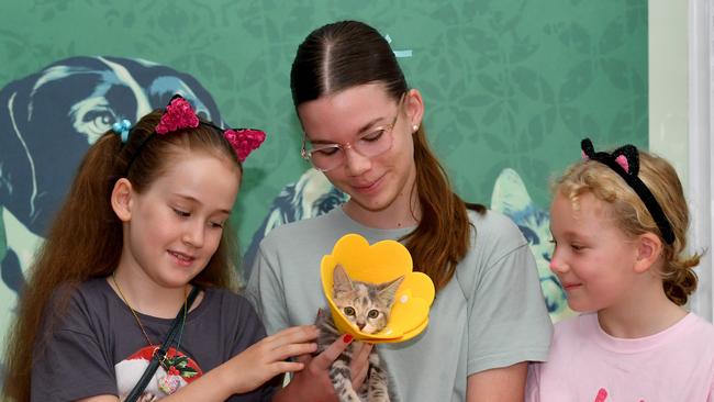 Nell Manning, 8, Gemma Gould, 15, and Annabelle Leatham, 6, with adoption kitten Claire at the RSPCA Op Shop in West End. Picture: Evan Morgan