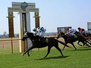 HAVE A FLUTTER: Racing returns to Burgess Park this weekend for the Laidley Cup. Picture: GLEN McCULLOUGH