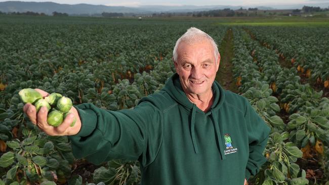 Bruce Adams, with Brussel sprouts, Adams Farms, Coldstream,   Picture Yuri Kouzmin