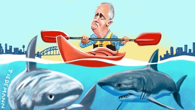 Malcolm Turnbull is entering into dangerous waters. Artwork: John Tiedemann