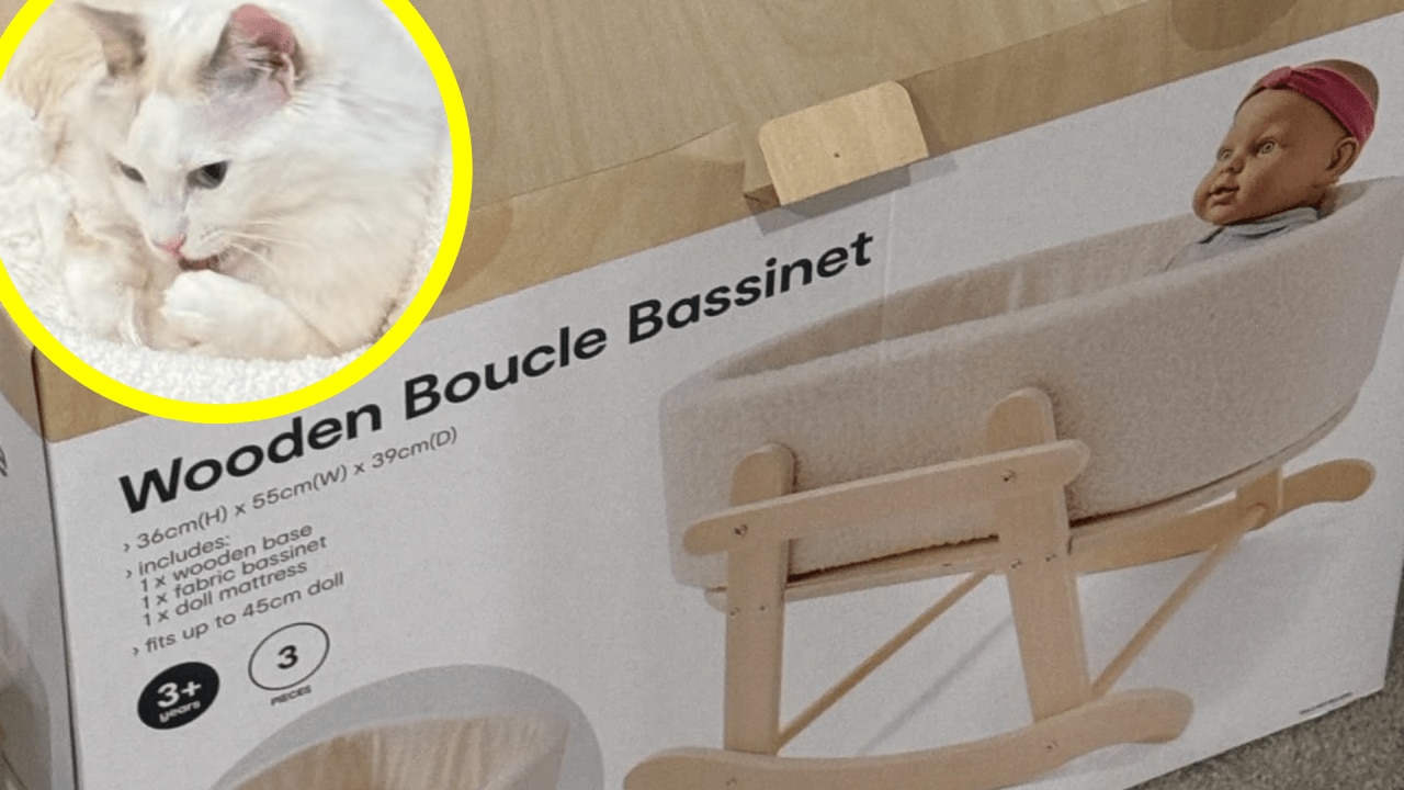 Bassinet cat cover online