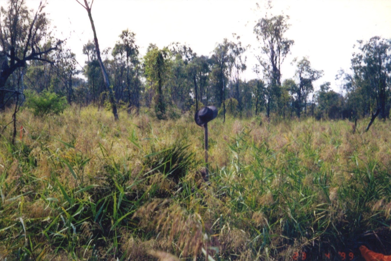 Images of the massive search for Keyra Steinhardt in April and May 1999. Photos provided by SES member Bob Jaycock.