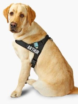 The Dog Friendly Co's harness design.