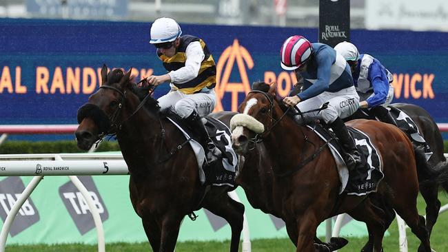 Athabascan was scratched from the Melbourne Cup last year on the eve of the race. Picture: Jeremy Ng/Getty Images