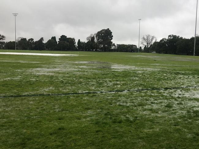 Princess Park was under water on Saturday morning.