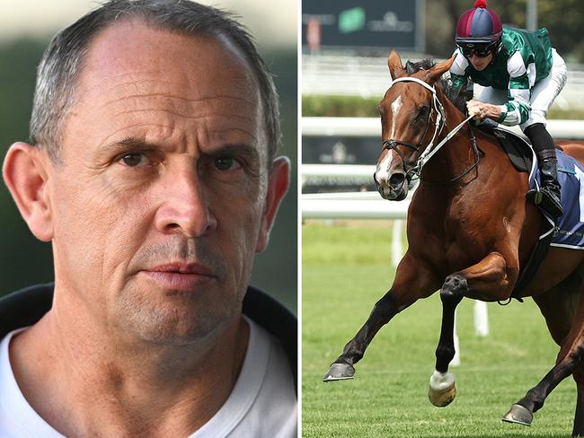 Trainer Chris Waller speaks to reporters at Flemington on Friday ahead of Via Sistina's second-up run in the Group 1 Verry Elleegant Stakes at Royal Randwick on Saturday. Picture: Vince Caligiuri / Getty Images