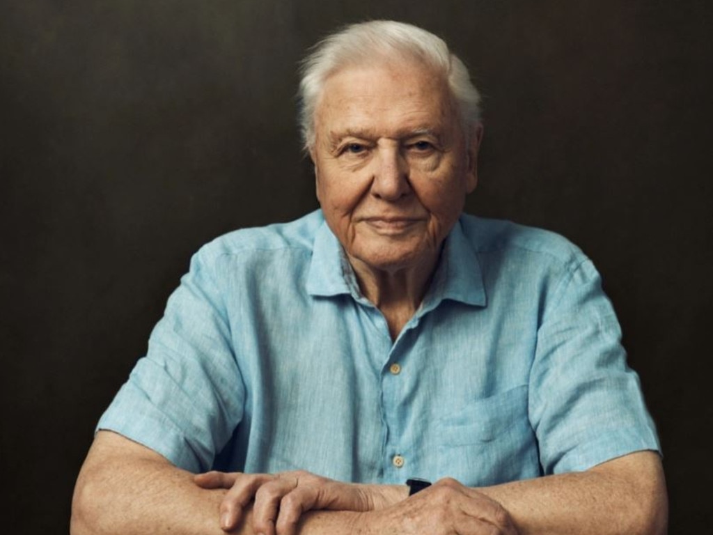 Sir David Attenborough filming for Frozen Planet II. Picture: BBC Studios