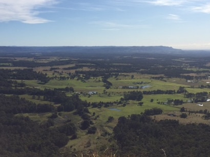 Bushwalker killed by falling tree branch