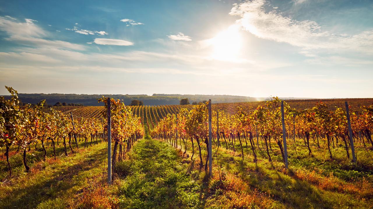 Plan a getaway in the mouth-watering Adelaide Hills now that borders have opened.