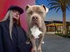 Tones and I charged over deadly dog attack