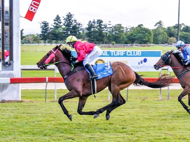 Maquereau, ridden by jockey Kate Southam, wins the 2020 Innisfail Cup (2000m) for trainer Sharlee Hoffman. Picture: Peter Roy.