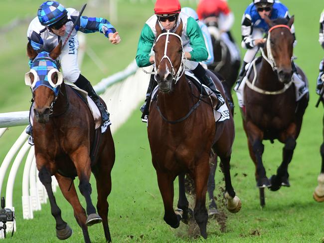 John Allen celebrates winning the Doomben Cup.