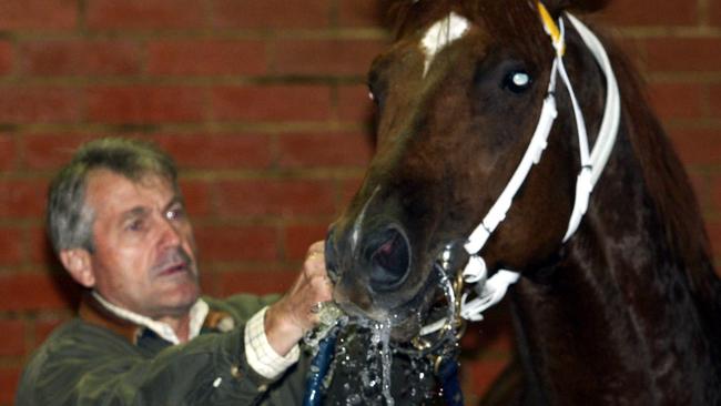 Les Samba washes Thorn Park at Flemington in 2003.