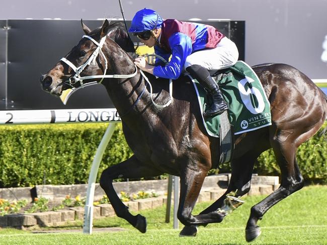 Kandinsky Abstract wins on debut at Canterbury on May 3, 2023. Picture: Bradley Photos