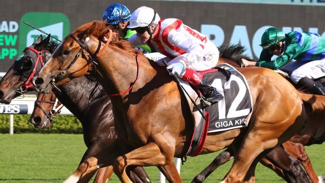 The Everest winner Giga Kick returns to the same track and distance for Saturday's Group 1 TJ Smith Stakes. Picture: Grant Guy