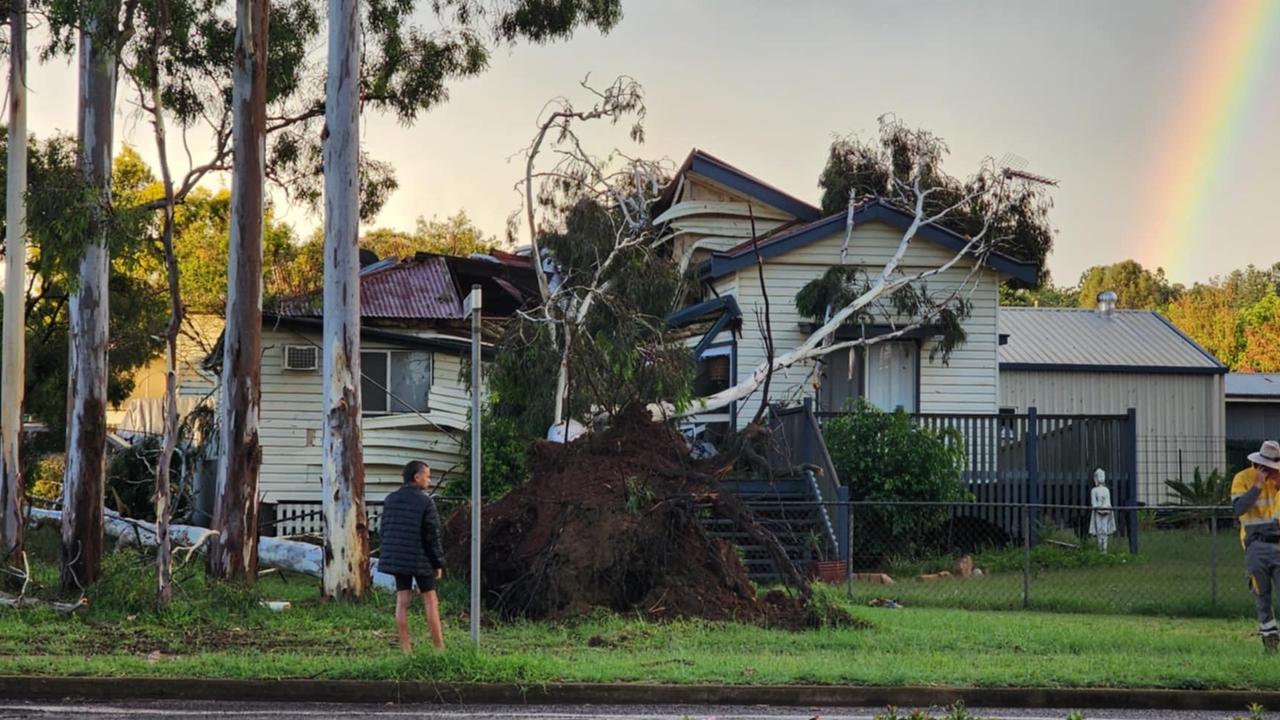 Trees down as wild weather lashes Wide Bay Burnett