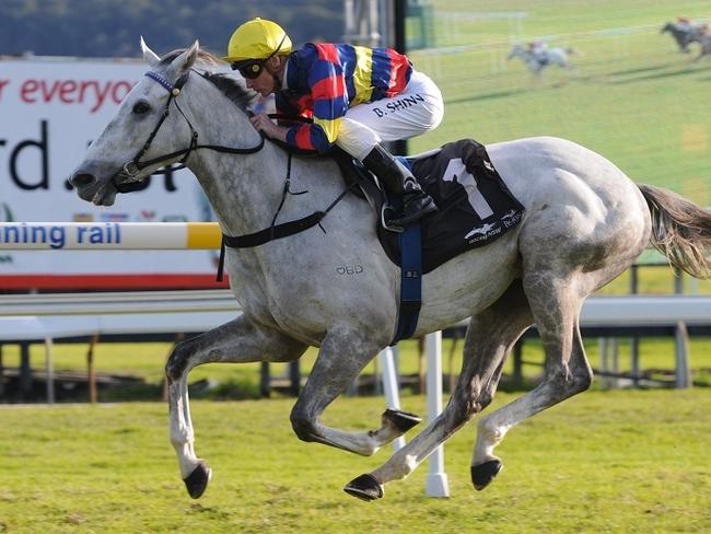His Majesty, trained by Kim Waugh.
