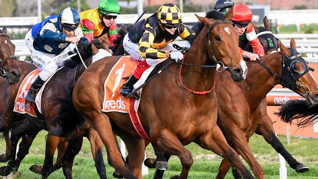 Picture: Reg Ryan/Racing Photos via Getty Images