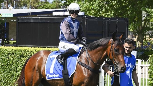 The Jason Coyle-trained Not That Easy has a terrific winning chance at Wyong on Tuesday. Picture: Bradley Photos