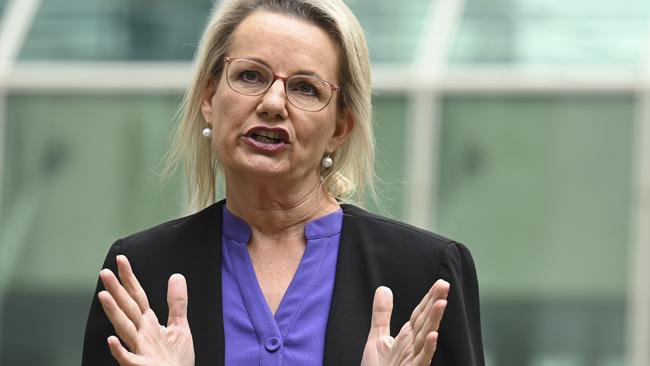 Deputy Leader of the Opposition Sussan Ley. Picture: NCA NewsWire/Martin Ollman