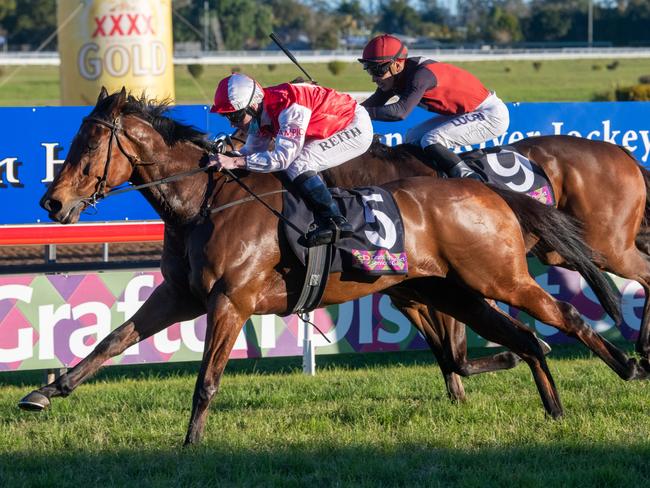 Southern Lad wins the 2021 Ramornie Handicap for Randwick trainer John O'Shea. Photo: Adam Hourigan