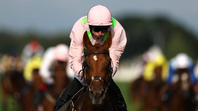 Melbourne Cup favourite Vauban will carry 55kg. Picture: Alex Pantling-Getty Images