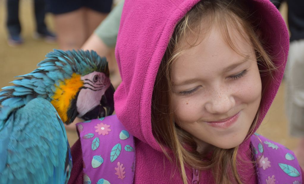 Getting up close with the birds at Maleny Botanic Gardens and Bird World. Picture: Mark Furler