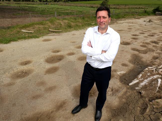 Opposition leader Matthew Guy. Picture: Mike Dugdale