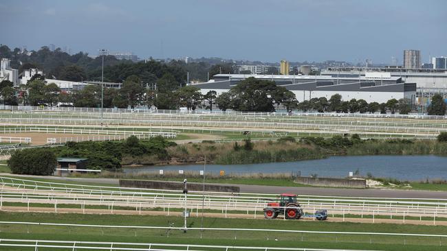 Premier Chris Minns in December announced the proposal to shift racing from Rosehill, opening up space for 25,000 new homes. Picture by Max Mason-Hubers