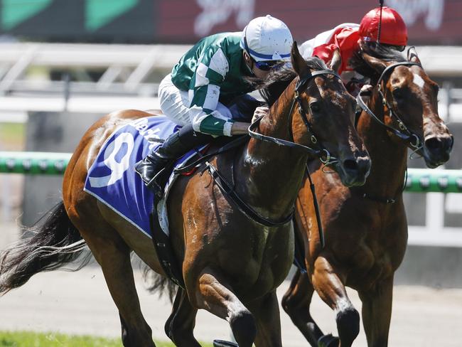 NCA. MELBOURNE. Melbourne Cup Day at Flemington Racecourse on November 05, 2024 in Melbourne, Australia.   Race 1. The Maribyrnong Plate.  Tycoon Star ridden by Michael Dee win the opening race  .  Picture: Michael Klein