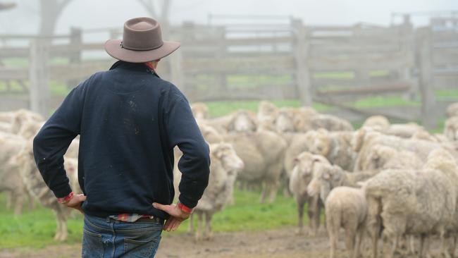 At least 30 public submissions have been made to the Victorian inquiry from both farmers and activists, with the Victorian Farmers Federation urging those from the industry to make a submission before it closes on August 2. Picture: Generic