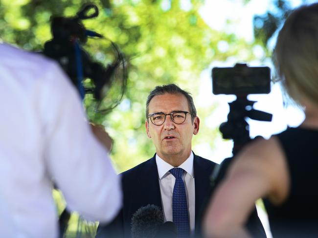 Premier Steven Marshall said it was likely that about 10 per cent of SA’s cases were the Delta strain<span>. Picture: NCA NewsWire / Michael Marschall</span>