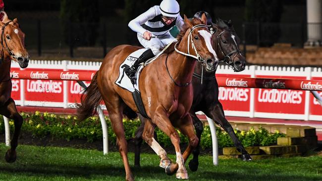 Pippie under Damian Lane was brilliant winning the Moir Stakes. Picture: Getty Images