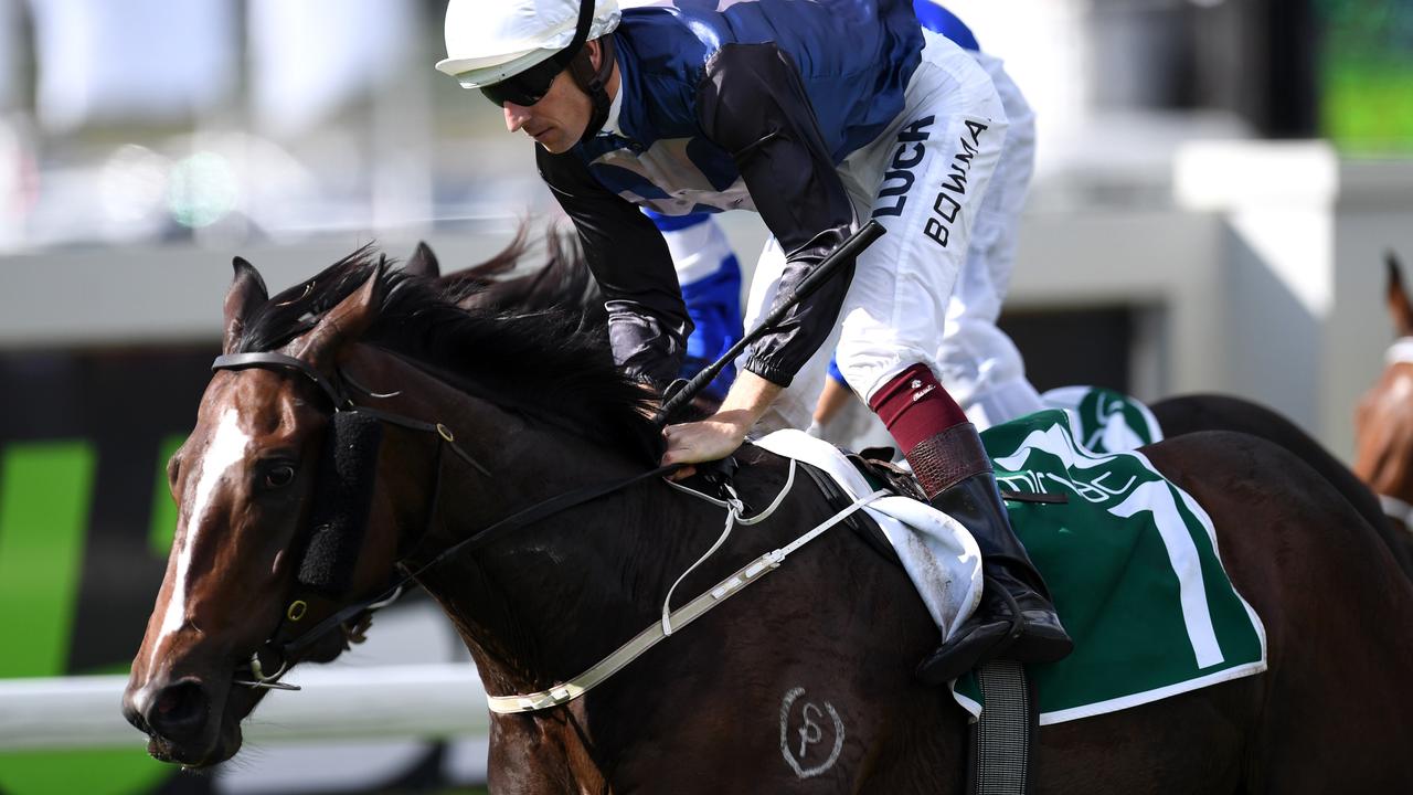 Horse racing tips: Nowra best bets, preview, inside mail, Sunday races ...