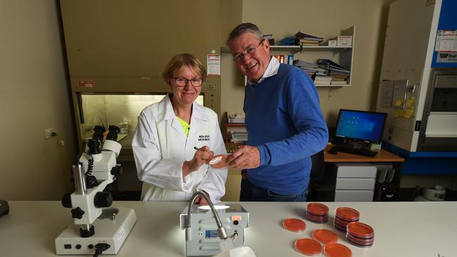 New Edge Microbials aims to invest up to $30 million a year in research and development. Picture: Mark Jesser