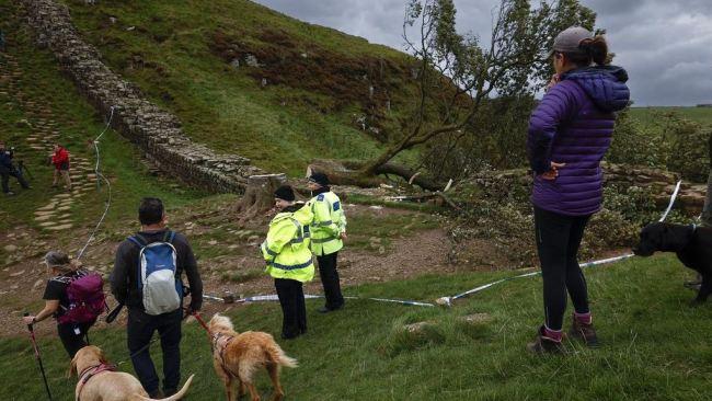 ‘The person responsible is deeply unwell.’ Picture: Jeff J Mitchell/Getty Images