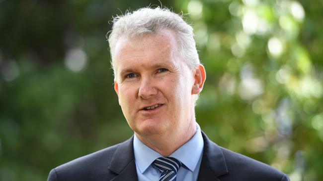 Opposition environment spokesman Tony Burke. Picture: AAP