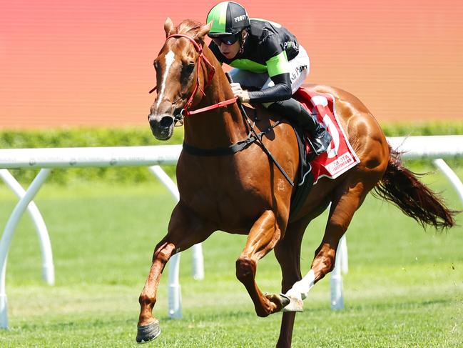SYDNEY, AUSTRALIA - JANUARY 04: Josh Parr riding Accredited  win Race 4 Toyota Forklifts during Sydney Racing at Royal Randwick Racecourse on January 04, 2025 in Sydney, Australia. (Photo by Jeremy Ng/Getty Images)
