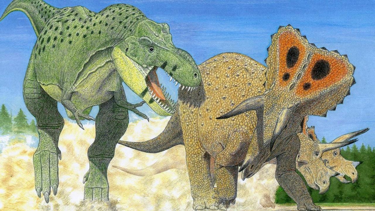 T-rex may be three different species | KidsNews