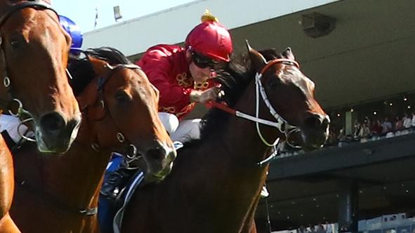 SYDNEY, AUSTRALIA - NOVEMBER 09: Tim Clark riding North England wins Race 6 Inglis Golden Gift during Sydney Racing at Rosehill Gardens on November 09, 2024 in Sydney, Australia. (Photo by Jeremy Ng/Getty Images)