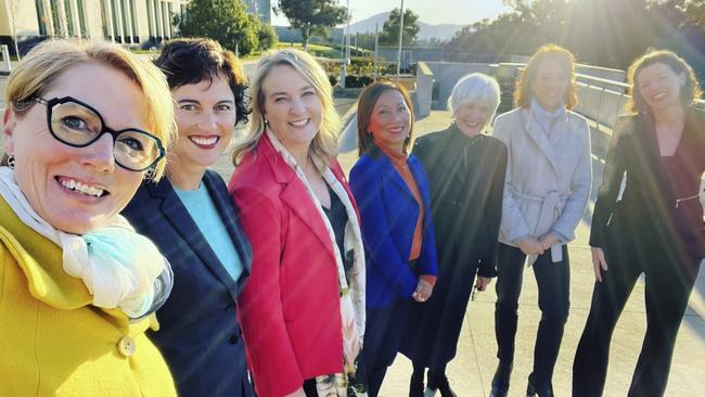 Newly elected independent MPs, from left, Zoe Daniel, Kate Chaney, Kylea Tink, Dai Le, Elizabeth Watson-Brown, Sophie Scamps and Allegra Spender. Picture: Twitter