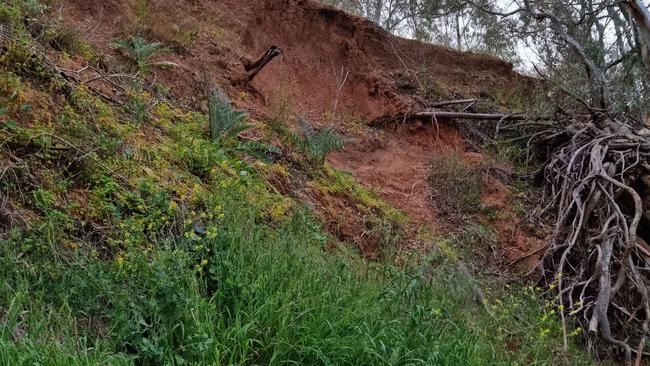 A driver who crashed down this 15m embankment at Lower Light suffered non-life threatening injuries. Picture: SA Police